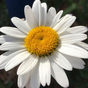 Meet your Posher, Beverly